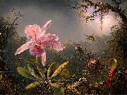 Martin Johnson Heade Cattleya Orchid and Three Brazilian Hummingbirds oil